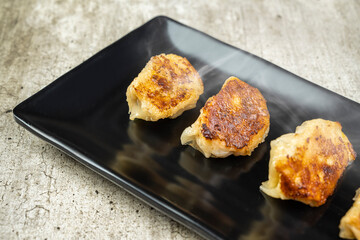 Fried chinese dim sum dumpling in the plate on the table