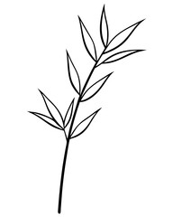  Line art of a bamboo branch with leaves. Vector illustration 