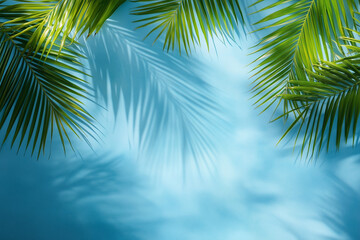 Top view of a blue calm and clear calm water surface, water texture with ripples and shadow of palm Leafs, Zen and relaxing background, summer concept