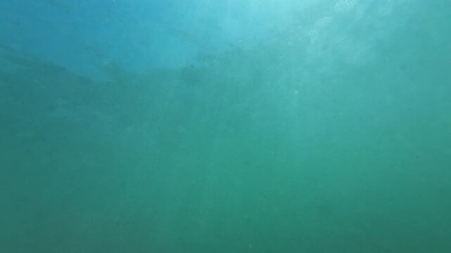 Bottom of Ocean Underwater Slow Motion x4 Filmed at 120fps