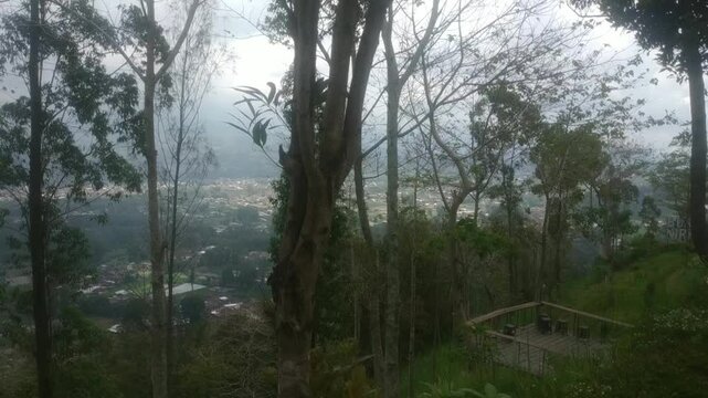 The cool and beautiful scenery on Nirwana Hill.