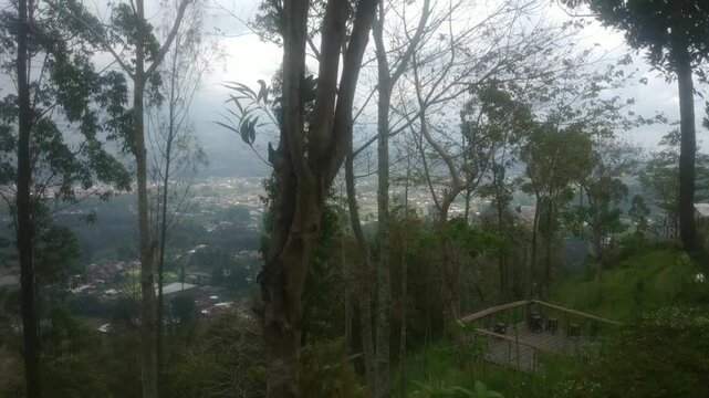 The cool and beautiful scenery on Nirwana Hill.