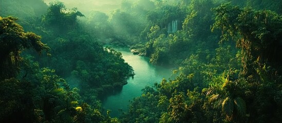 Fototapeta premium Lush green jungle river valley aerial view.