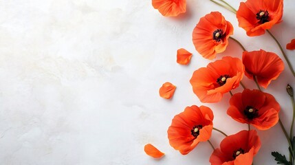 poppy flower background for memorial day with free copy space