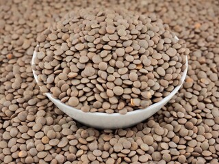 그릇에 가득 담긴 렌틸콩, 요리재료