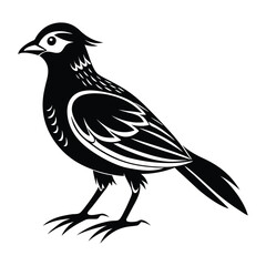 Cardinal head isolated on white background, Cardinal vector illustration, bird on a branch vector art, Cardinal silhouette, bird vector icon, bird on a branch line art, eps, Animal cartoon