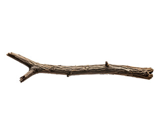 Old dry tree branch isolated on transparent 
