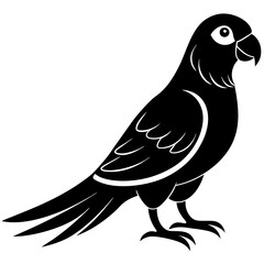 parrot bird vector silhouette design