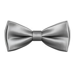 Silver Bow Tie
