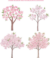 Fototapeta premium Watercolor Illustration of Cherry Blossom Trees in Bloom