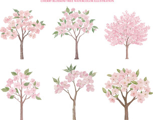 Obraz premium Watercolor Illustration of Cherry Blossom Trees in Bloom