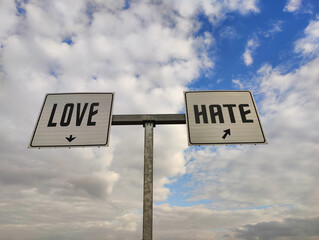 Love or Hate: A Fork in the Sky, Symbolizing Life's Duality, Choices, and Contrasts, Framed Against a Backdrop of Endless Clouds Representing Freedom, Hope, and the Complex Journey of Human Emotions.