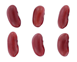 Single red kidney bean seed on white background, top view (raw red kidney bean or red bean)