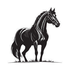 Obraz premium A drawing of a horse vector
