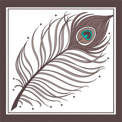 feather illustration