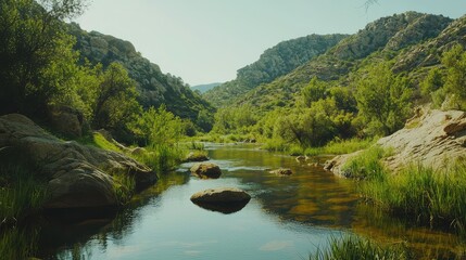 Fototapeta premium Serene River Flowing Through Lush Green Valley Surrounded by Rocky Hills and Bright Blue Sky in a Peaceful Natural Landscape