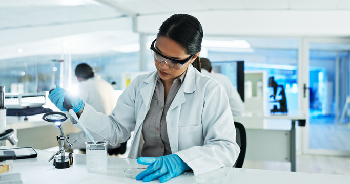 Scientist, woman and liquid with pipette, petri dish and sample preparation in biotech laboratory. Biochemistry, bacteria and solution with technician for DNA study, genetic innovation or results