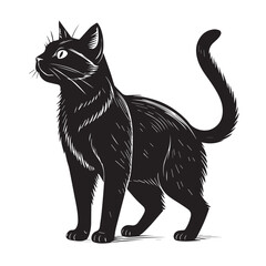 Obraz premium Cat vector