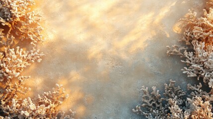 Serene Winter Landscape with Frosty Plants and Soft Light Effect