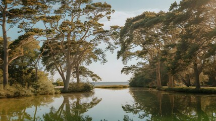 Fototapeta premium A photo of a serene outdoor setting with tall trees and a body of water. The trees have a canopy of leaves that rustle gently in the breeze. The water's surface is calm, reflecting the trees and sky. 