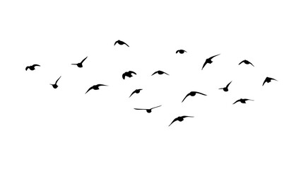 Flying birds silhouette flock. hand drawing. Not AI. Vector illustration