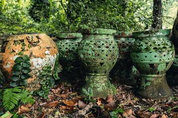 Old clay pots covered with moss and ivy plants in the garden in Malaysia