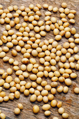soybean, soy bean, soya bean, Glycine max