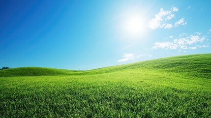 Fototapeta premium Expansive Green Grass Field Under Clear Blue Sky and Bright Sunlight on a Beautiful Day, Capturing the Essence of Nature's Beauty and Tranquility in Wide Open Space