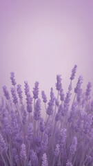 Fototapeta premium Lavender grainy banner background with a glowing noise texture effect, evoking a calm and elegant aesthetic for posters, headers, covers, and digital backdrops.
