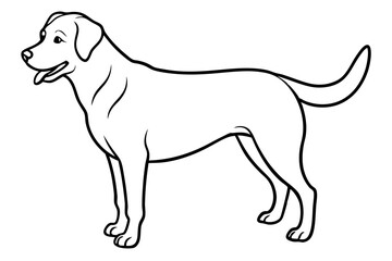  Labrador Retriever Line Art Vector Design