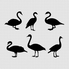 Transparent silhouette black image