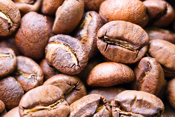 Still life photography of coffee beans, Panama Montenegro Estate Caturra