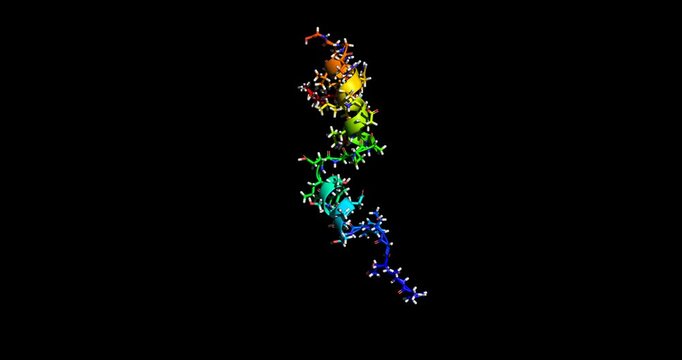Liraglutide, type 2 diabetes or obesity drug, 3D molecule spinning, 4k