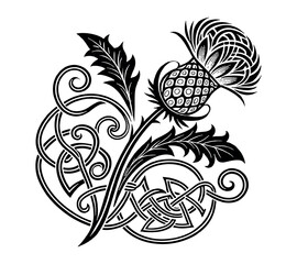 Scottish thistle vector Line art in Celtic style flower