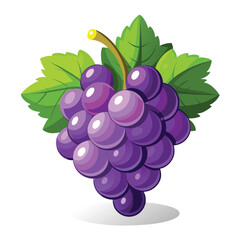 bunch of grapes on white background