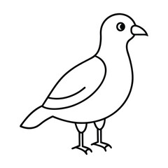 A drawing of a bird with a white background