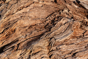 old wood background close up	