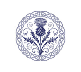 Scottish thistle vector Line art in Celtic style flower