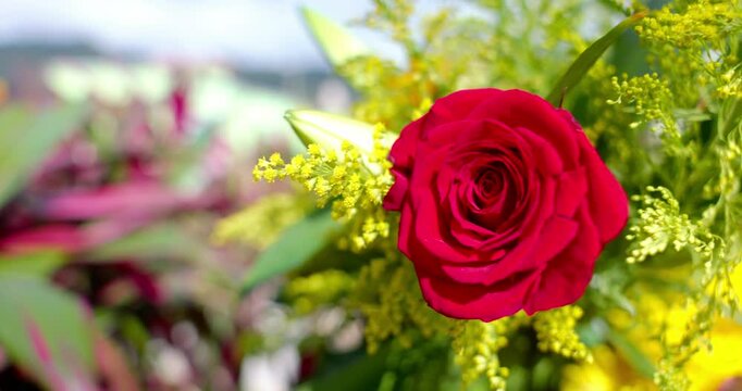 Rosa Roja, floral