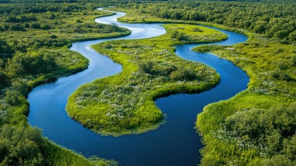 Aerial view of a pristine river winding through a forest in late summer, with wildflowers visible along the edges