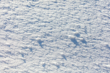 The snow is white and the ground is covered in it