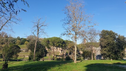 italy, rome, architecture, statues, work of art, history, marble, painting, fresco, temple, city, capital, museum