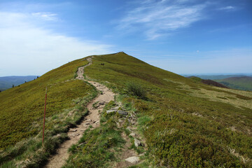 Landscape of Polonina Carynska in Bieszczady mountain range, Poland