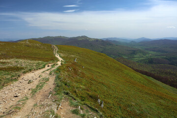 Landscape of Polonina Carynska in Bieszczady mountain range, Poland