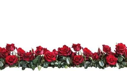 red rose border frame for valentine's day decoration