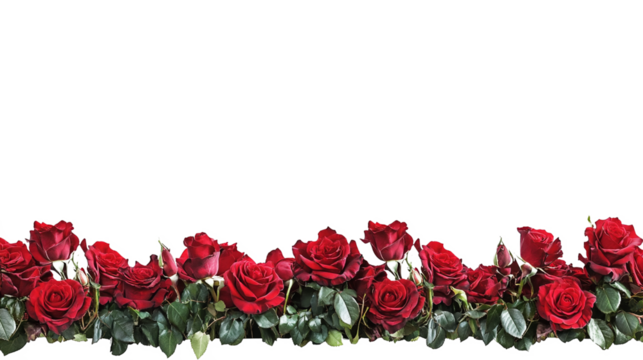 red rose border frame for valentine's day decoration