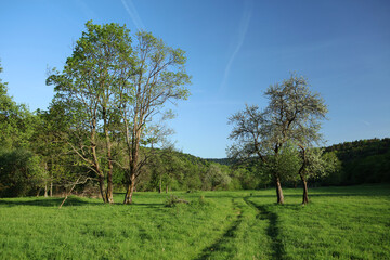 Landscape of former, abandoned village - Nieznajowa in Low Beskids mountain range, Poland