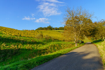 Countryside landscape in the Black Forest