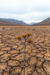 Visualize biodiversity decline through a barren landscape with traces of wildlife and fading plants reflecting environmental devastation.