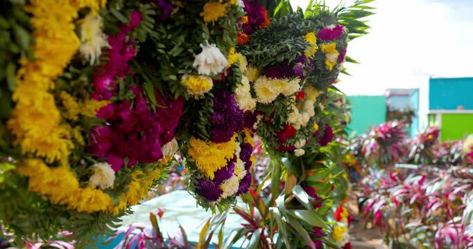 Cementerio colorido, Flores del pante&oacute;n